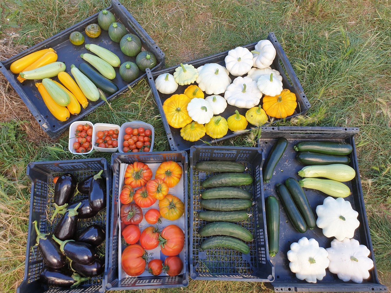 Les jardins du Lanternier